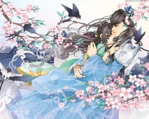 虾米天使导航